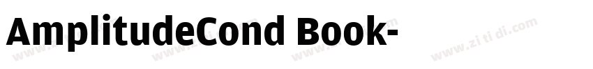 AmplitudeCond Book字体转换